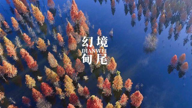 蝴蝶消消乐