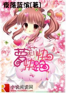 塞尔达：荒野之息
