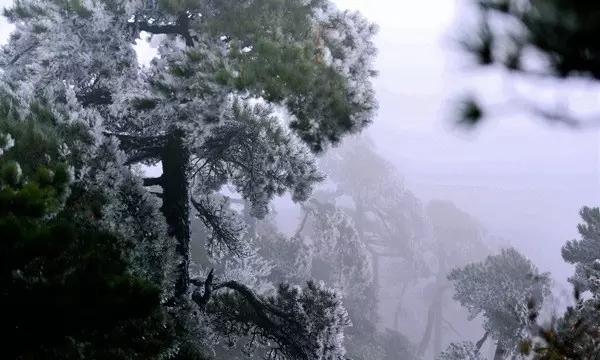 不翻书都不知道,原来宋朝时的台州这么牛