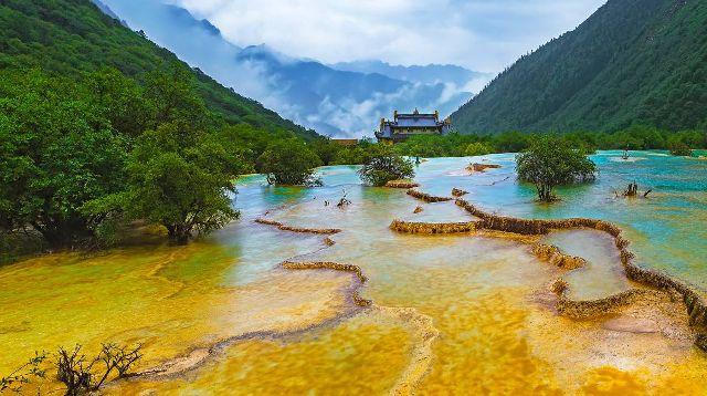 如果能重来，大学你会选什么专业？游戏画面