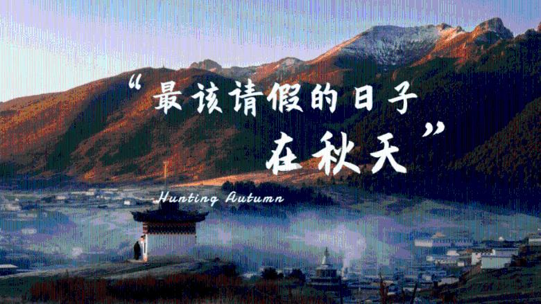 韭菜馅饺子如何做，才能使韭菜更鲜更翠绿？