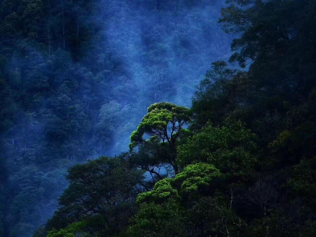 电瓶修复液和电瓶水是一样的吗？