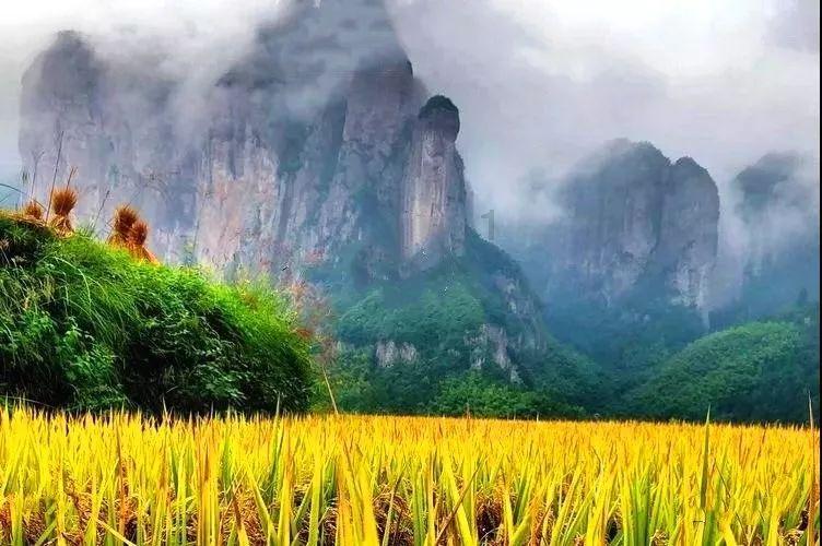 你过得印象最深刻的一次生日是什么样的？游戏画面