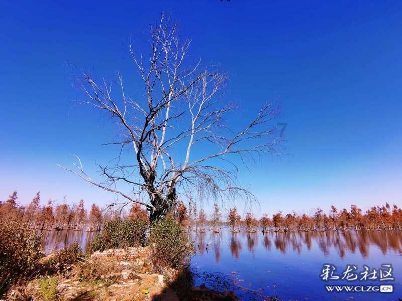 寒冷升级!哈尔滨最低气温接近-30℃