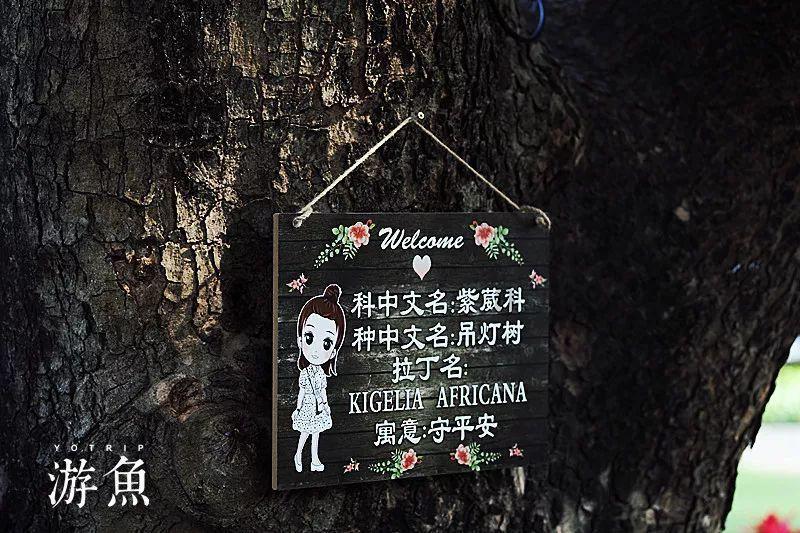 鲜虾怎么做才好吃啊游戏画面