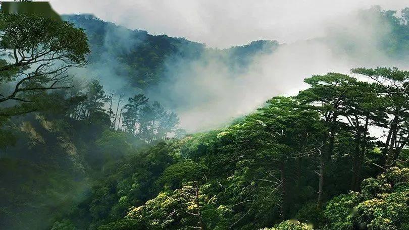 史提芬填色书