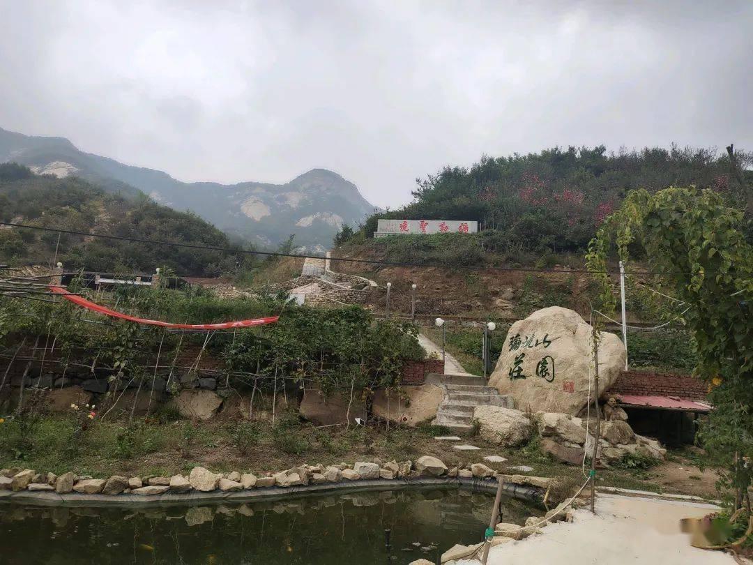 芋头和红豆一起可以吗