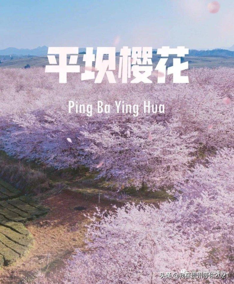 建设“四型”市直机关提升服务质效