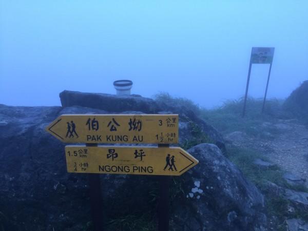 小矮怪挖金矿
