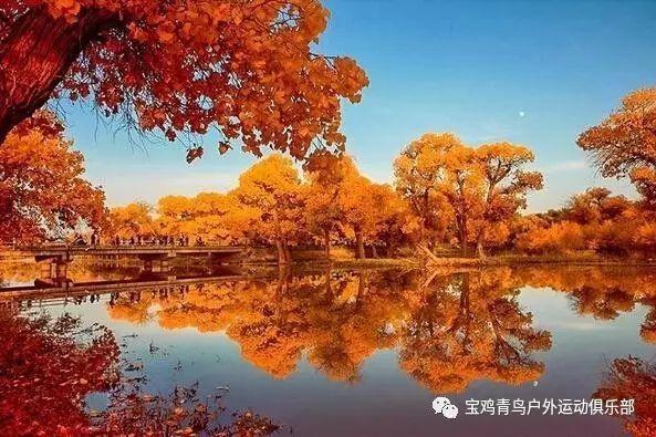 给爸妈买东西，哪些东西你觉得最值？游戏画面