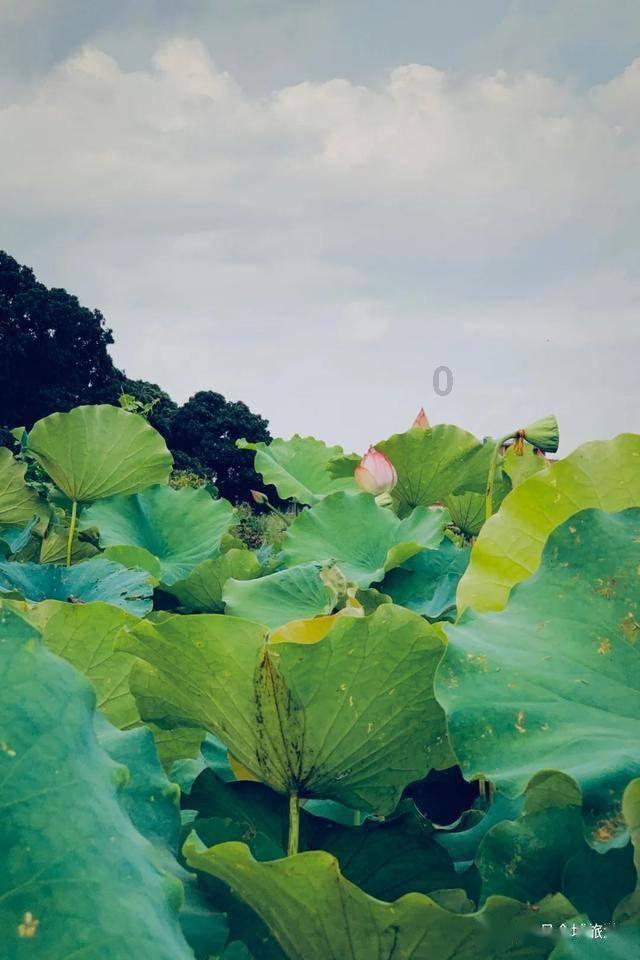 使命召唤15