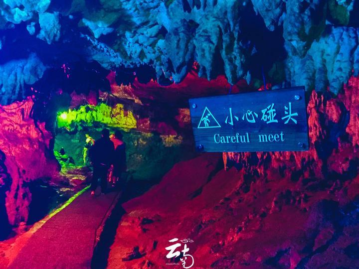 逗小猴开心系列193