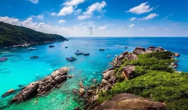 生化危机：浣熊市行动