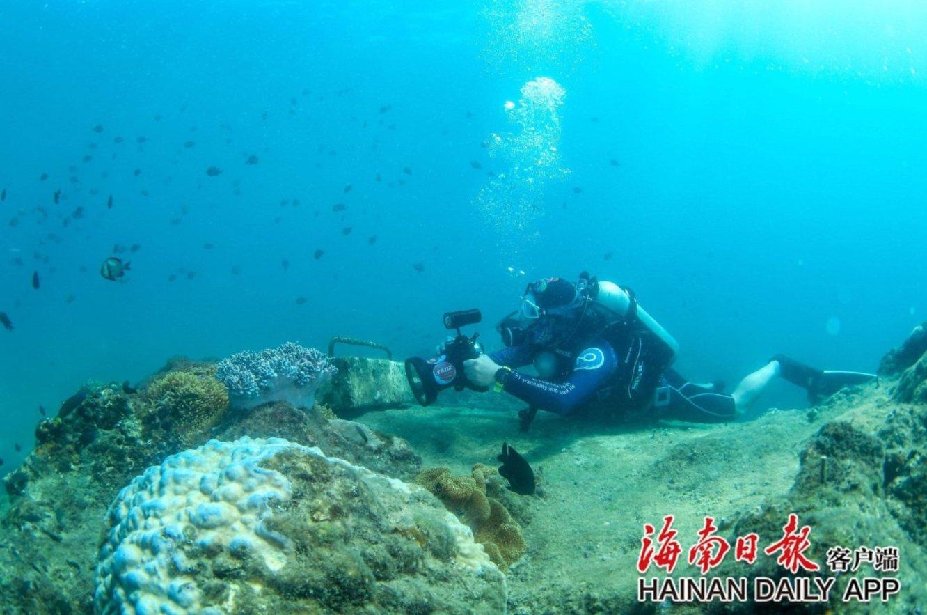 若是让打印一份考驾照的试题，得多少钱？游戏画面