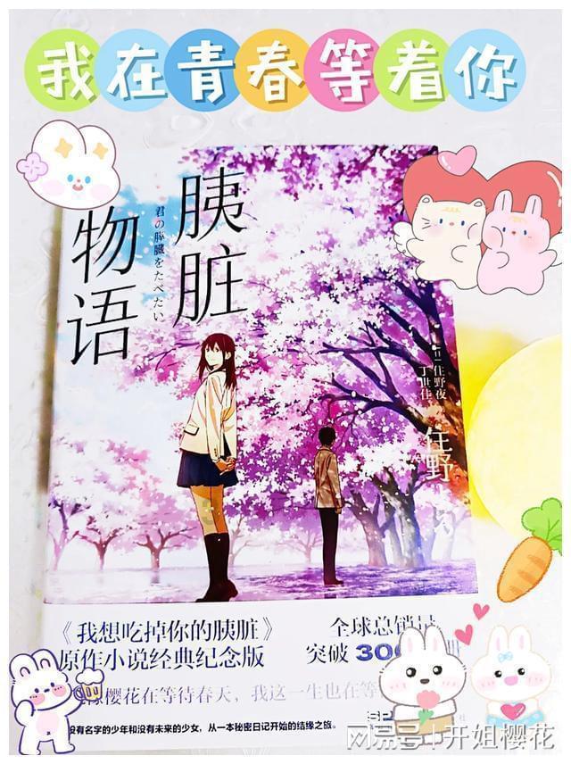 春雨直播app