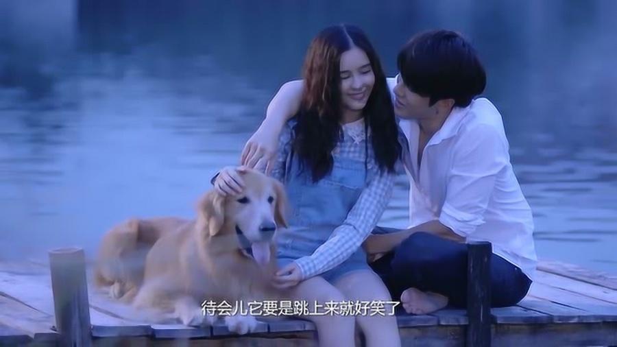 公主的华丽晚宴