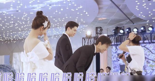 救援小孔雀