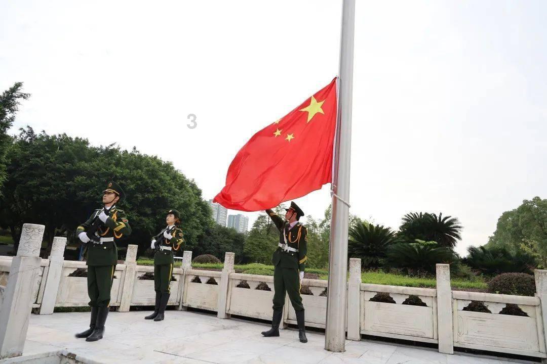 拯救小松鼠