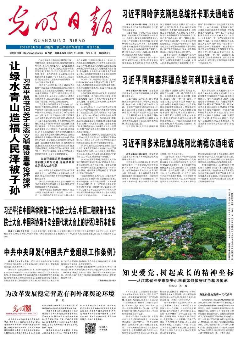 探探猫之飞天萌猫