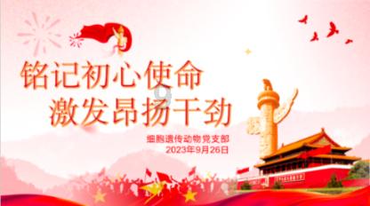 空中大战斗