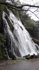 【单向历】1 月 27 日,忌漠视