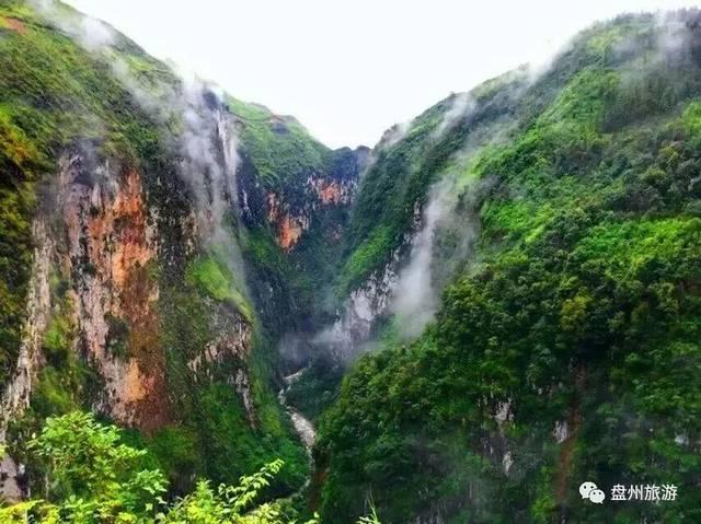 大丛林度假村逃生