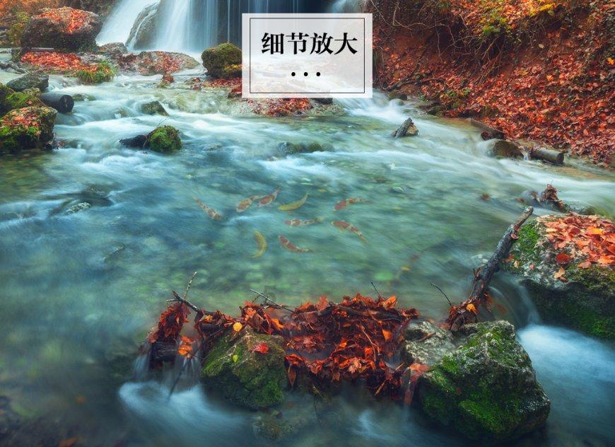 蜗牛寻新房7