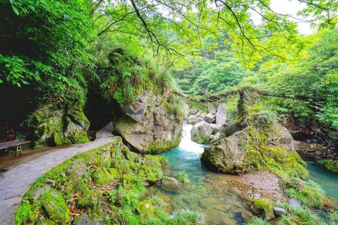 狂野的飙客