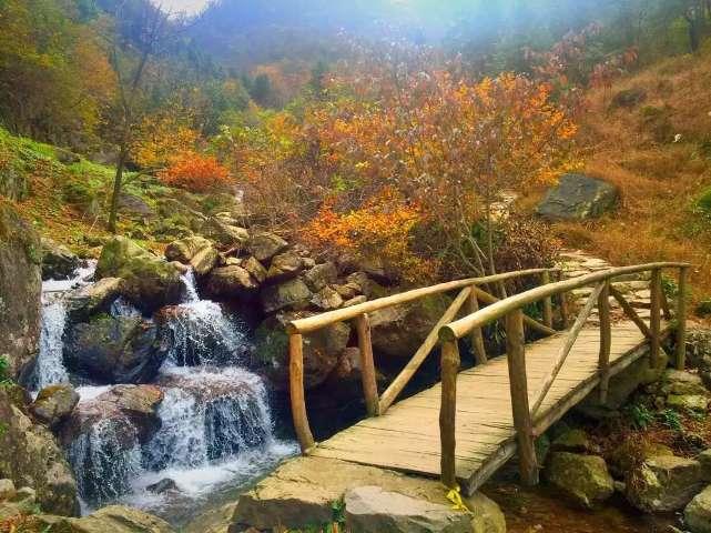 我至今不能原谅白素贞，两条四川的蛇水淹江苏，笑死在网友评论区