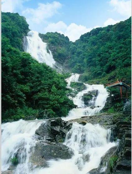 他追女生到家里，丈夫解除婚姻拱手让妻，还和他登报结拜