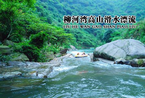 福莱纳找车轮