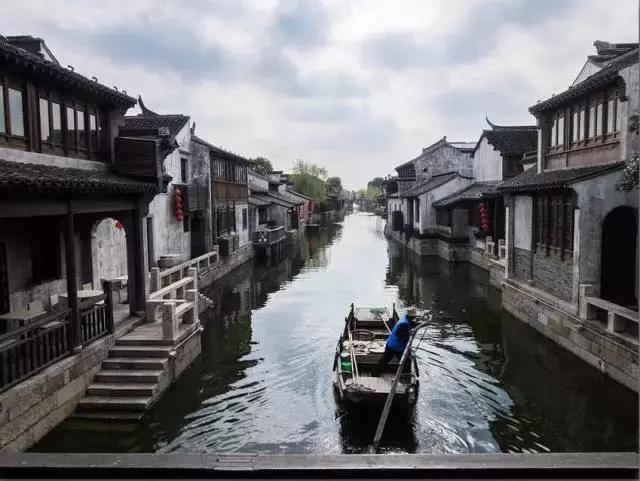 动物帮帮忙保卫家园