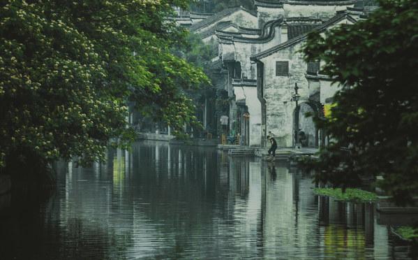 卡通骆驼救援