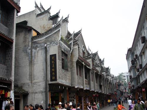 动物帮帮忙保卫家园
