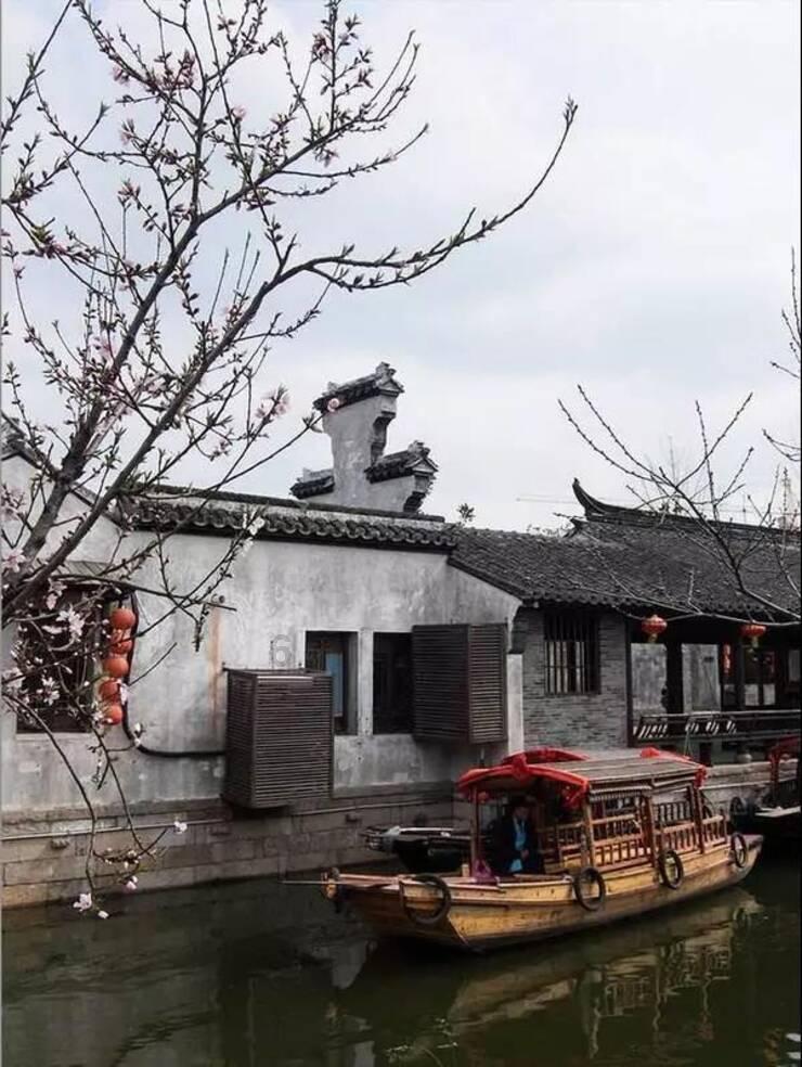 拯救可爱袋鼠