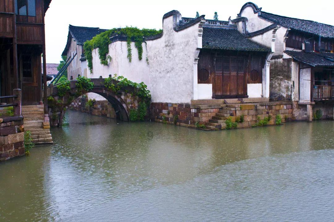 《要久久爱》首播！杨紫哭戏套路化，磨皮滤镜开太大，剧情节奏慢