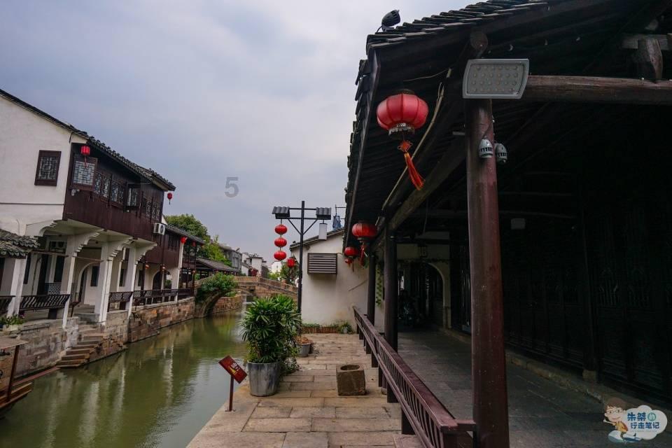 动物帮帮忙保卫家园