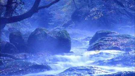 虫虫助手下载