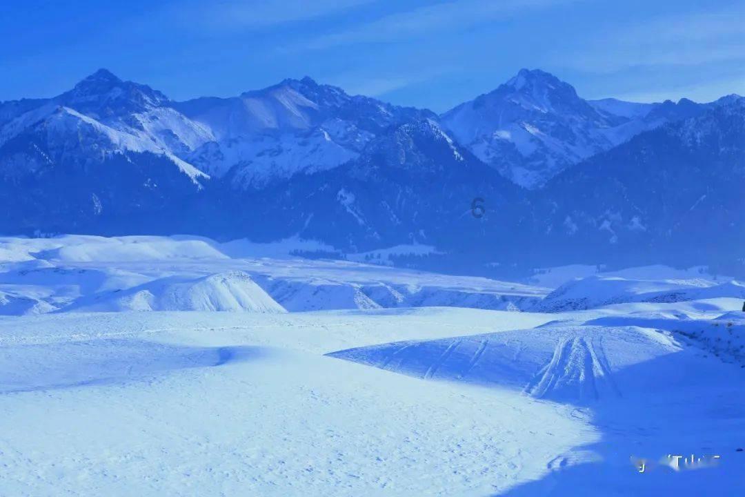 小红帽的冒险之旅